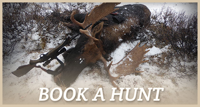 Book a Hunt with DB Outfitting Ltd.
