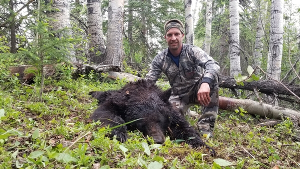 Where is the Best Place to Hunt Black Bears in Canada?