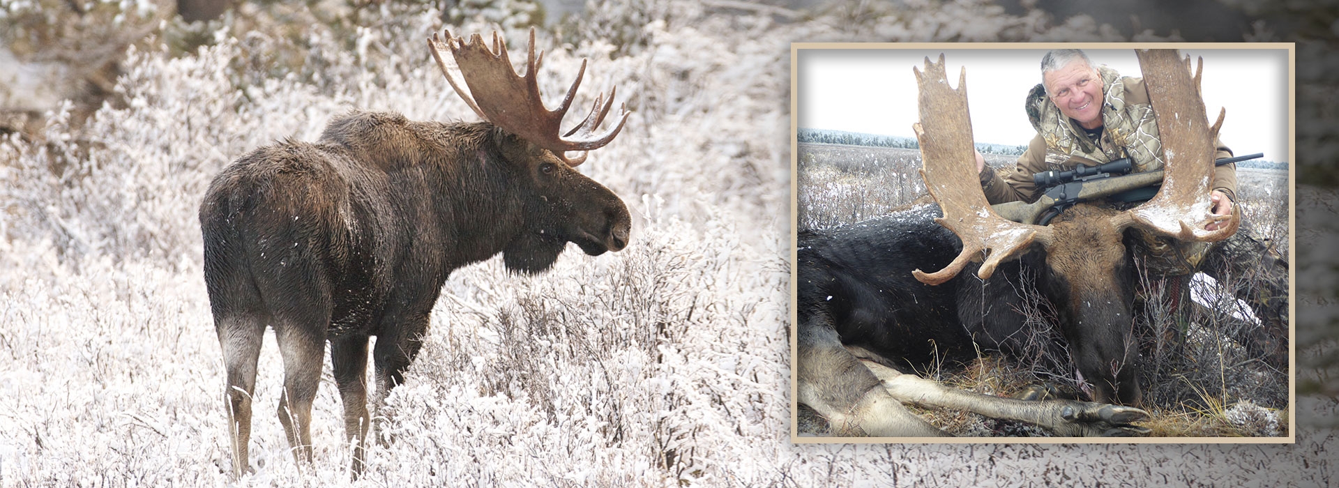 Columbia Moose Hunting
