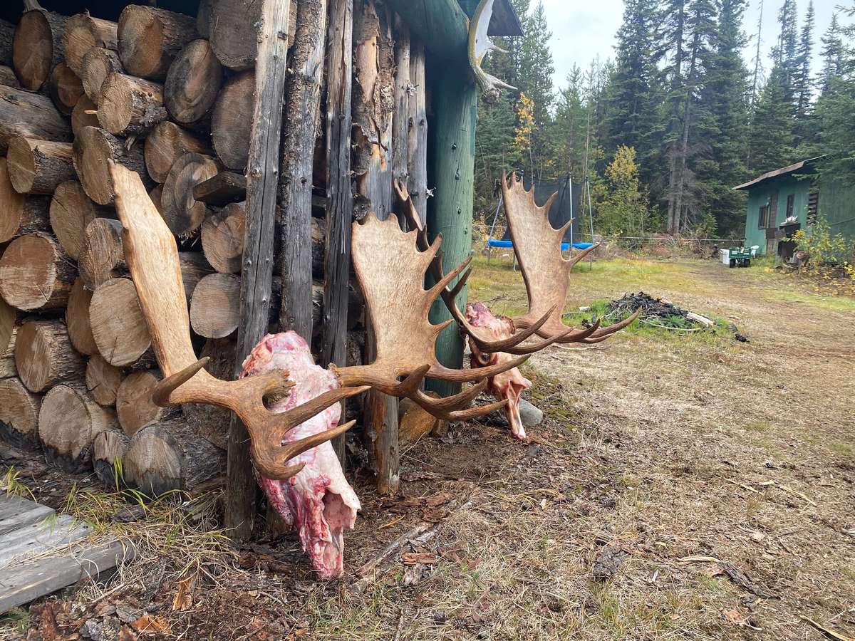 British Columbia Hunt Features