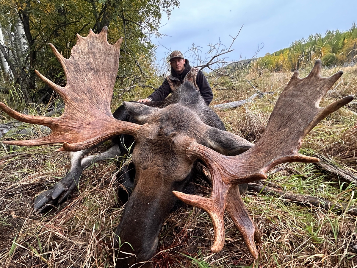 Moose