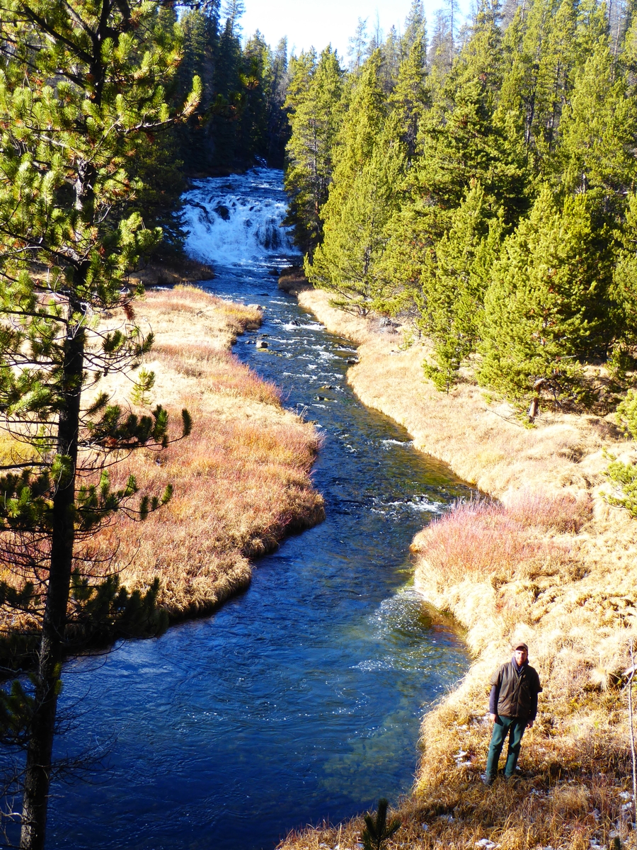 Elk Hunting Package British Columbia