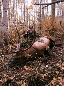 Elk Hunts In Canada
