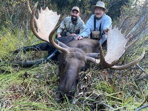 Moose Hunts in Canada